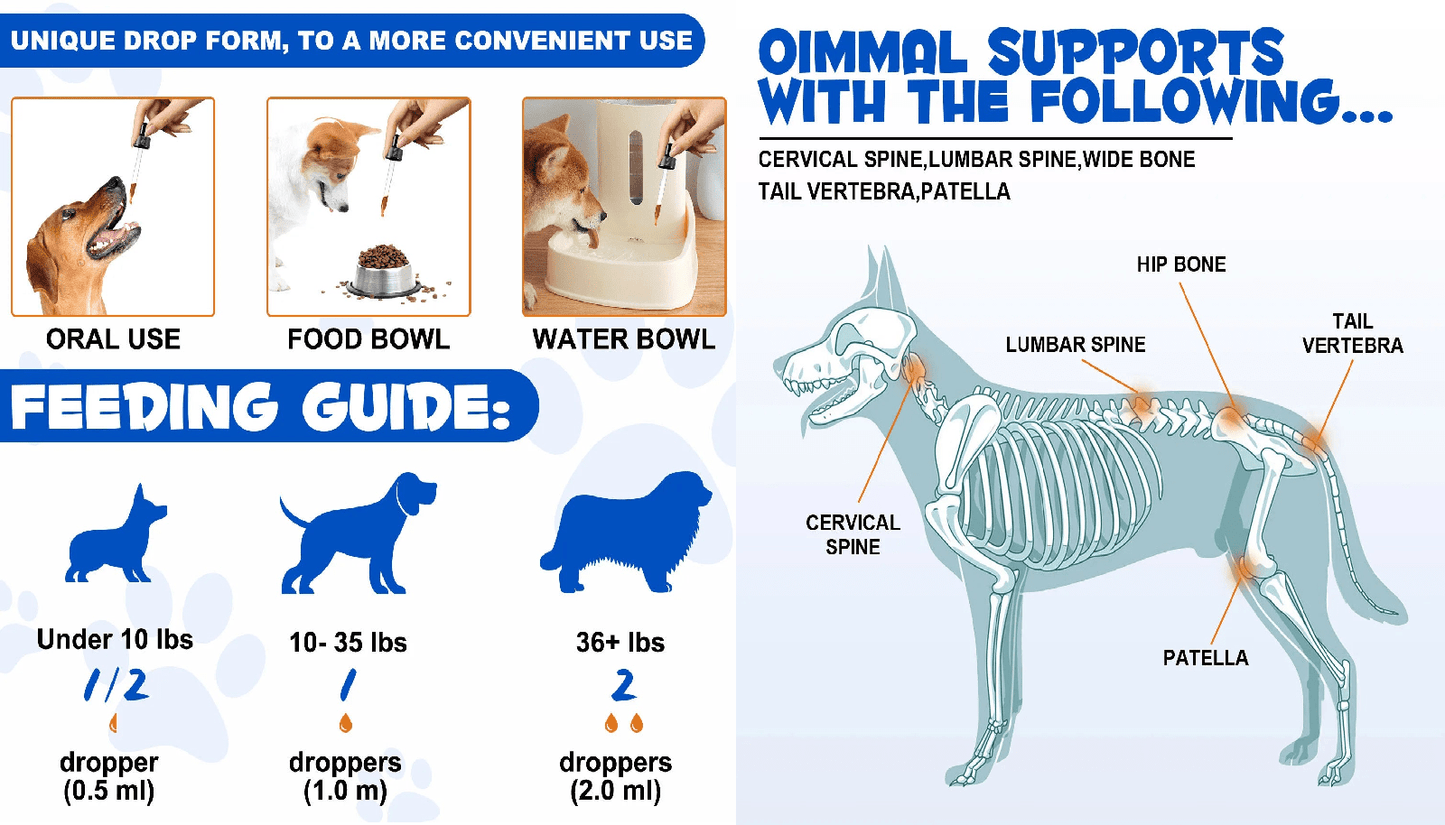 Glucosamine for Dog Joints - Support and Relief