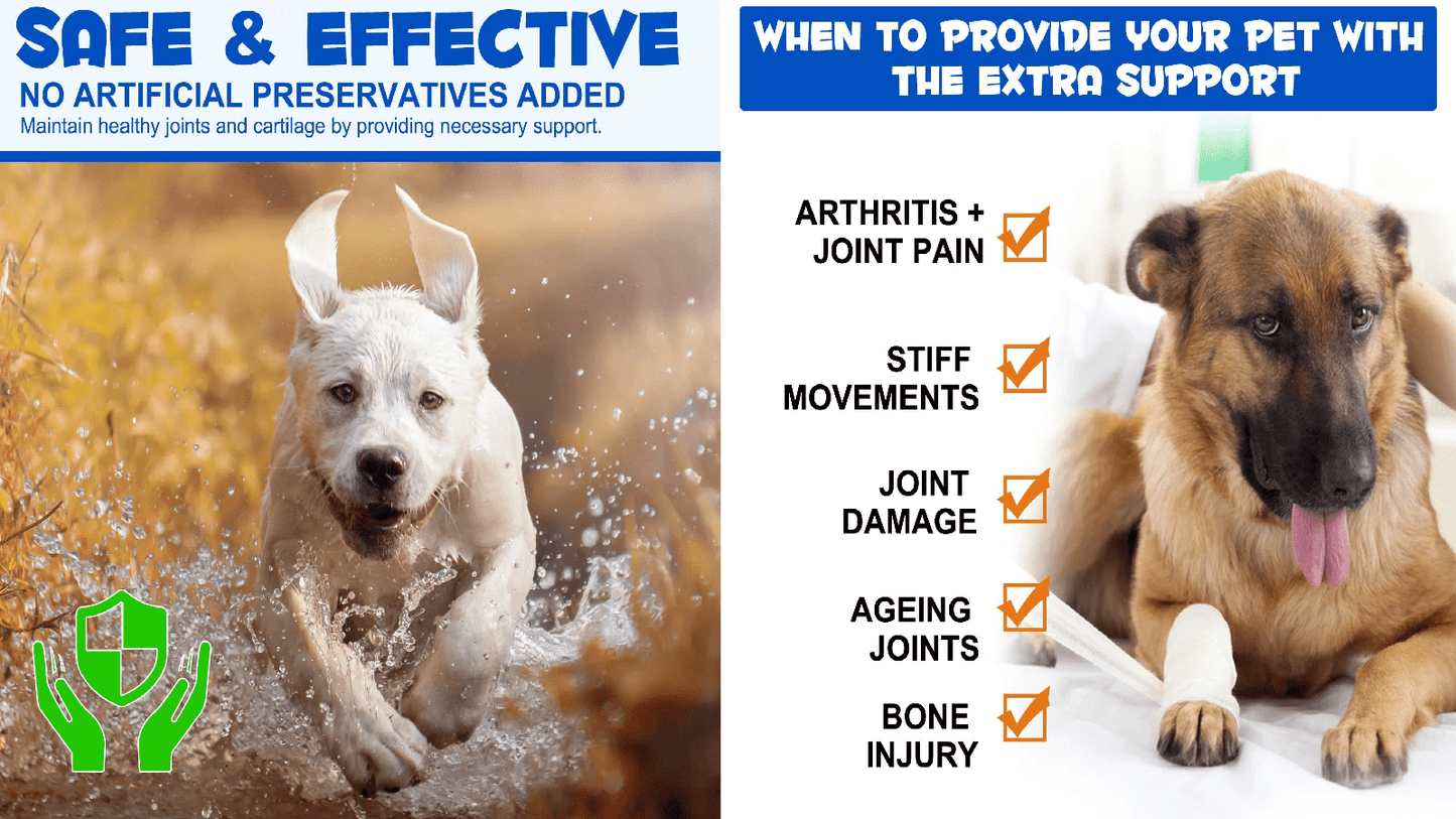 Glucosamine for Dog Joints - Support and Relief