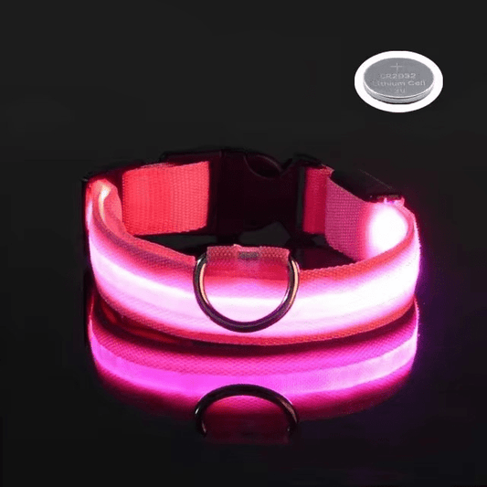 Bright LED Collars for Dogs and Cats