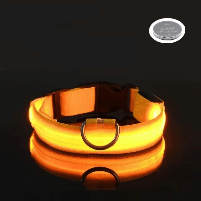 Bright LED Collars for Dogs and Cats