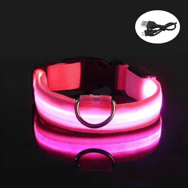 Bright LED Collars for Dogs and Cats