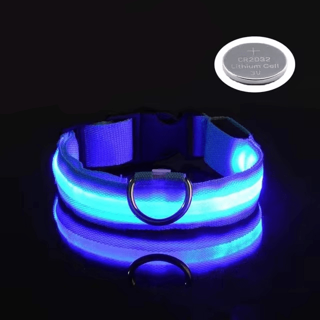 Bright LED Collars for Dogs and Cats