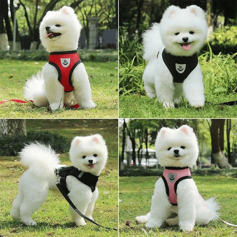 Cat and Dog Harness