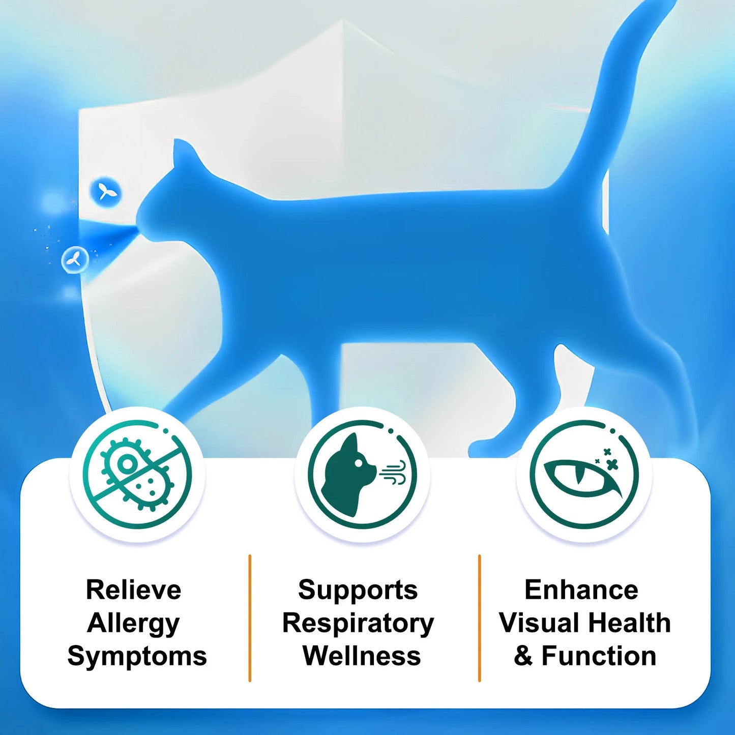 L-Lysine for Cats – Support for immune and respiratory health