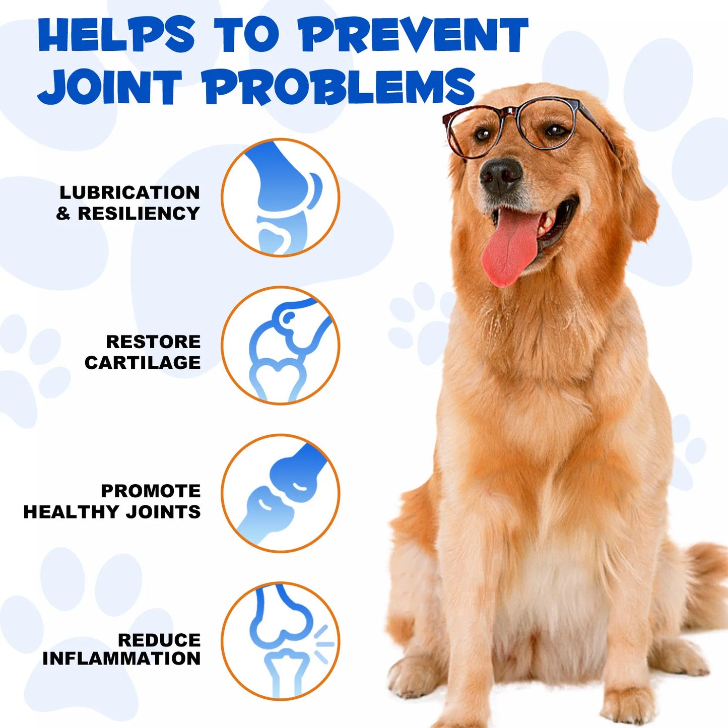 Glucosamine for Dog Joints - Support and Relief