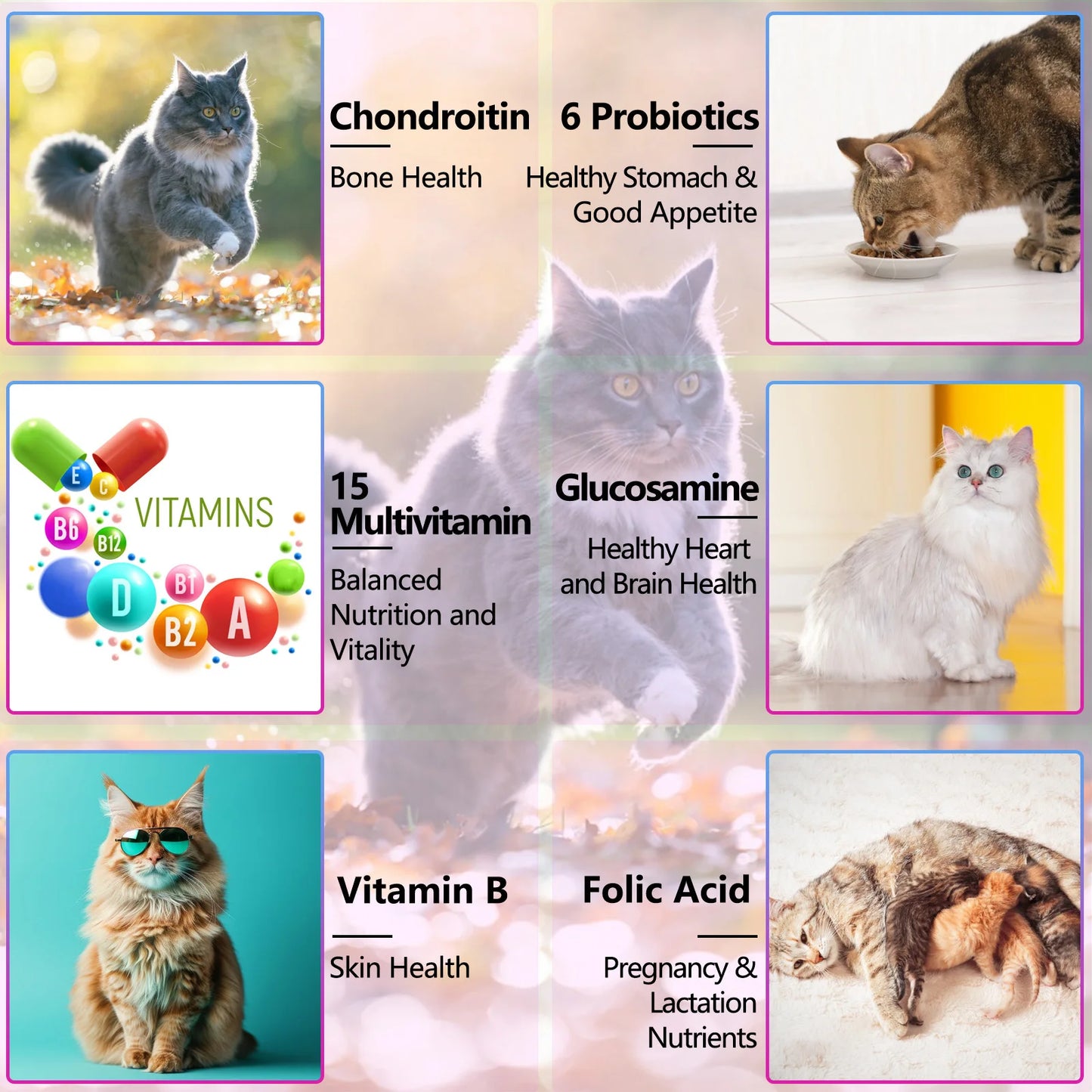 15-in-1 Vitamins and Supplements for Cats