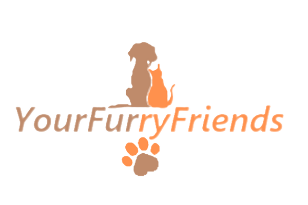 YourFurryFriends