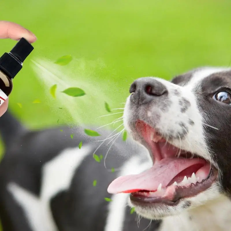 Pet Dental Spray 30ml: Freshener, Deodorant and Whitener for Dogs' Oral Cavity