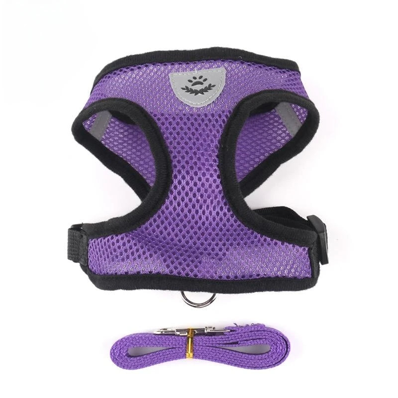 Cat and Dog Harness