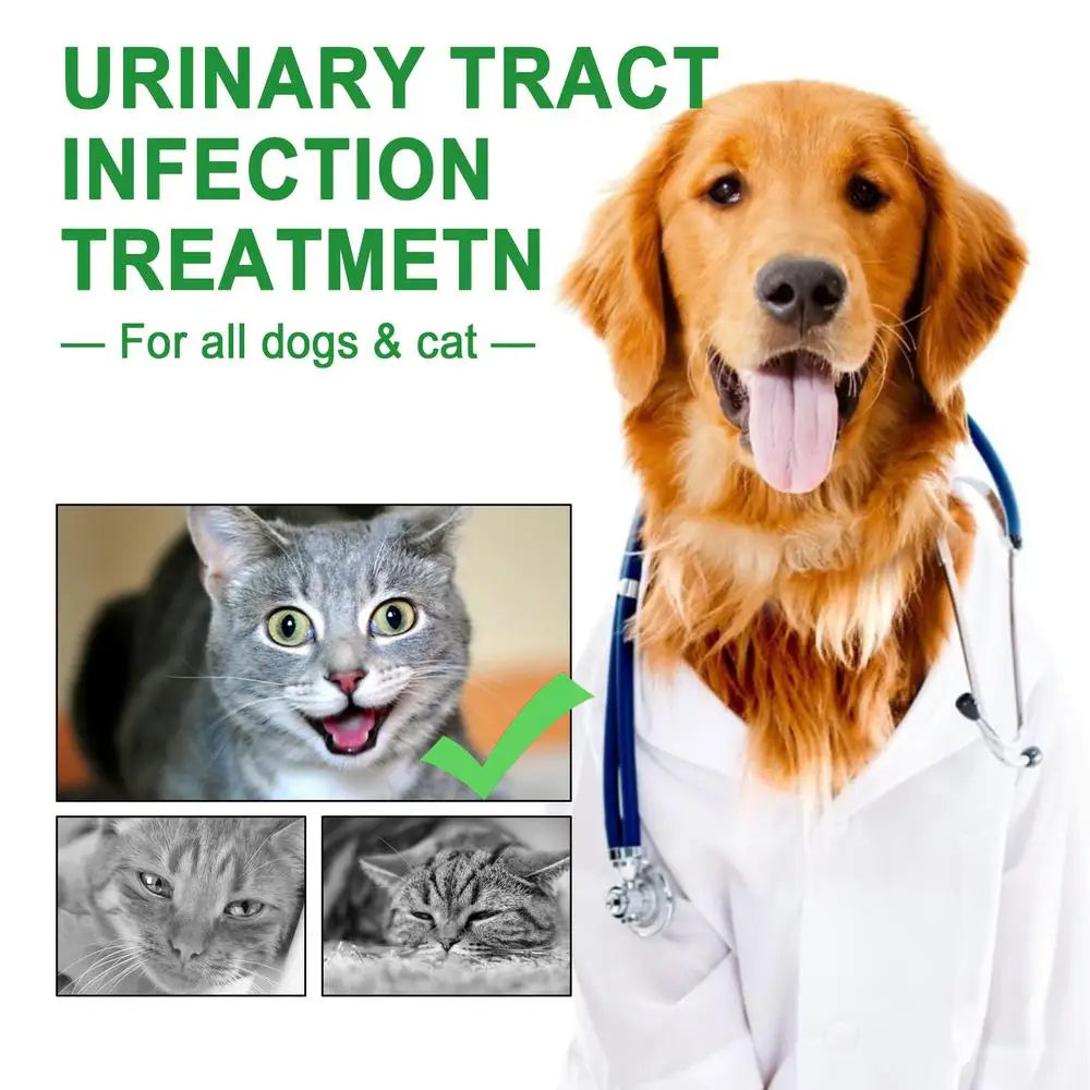 Bladder treatment - Powerful drops for cats and dogs, 60 ml