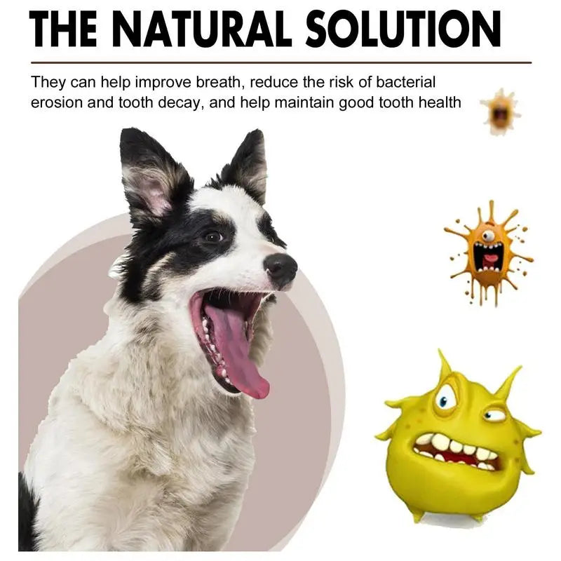 Pet Dental Spray 30ml: Freshener, Deodorant and Whitener for Dogs' Oral Cavity