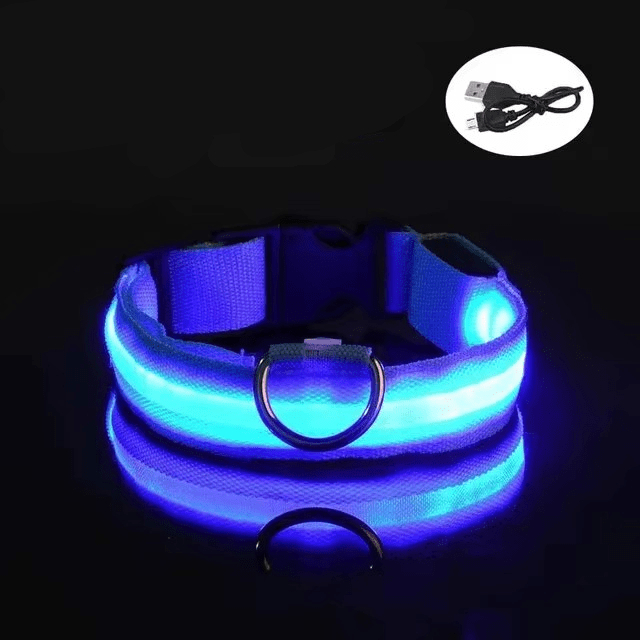 Bright LED Collars for Dogs and Cats