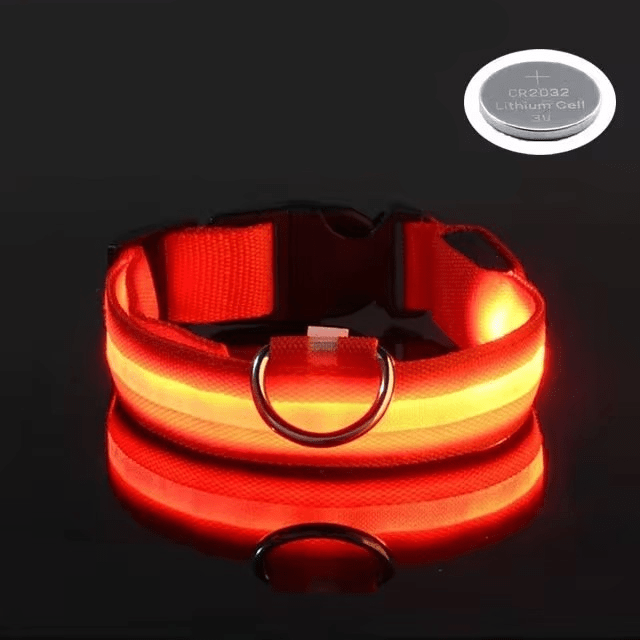 Bright LED Collars for Dogs and Cats