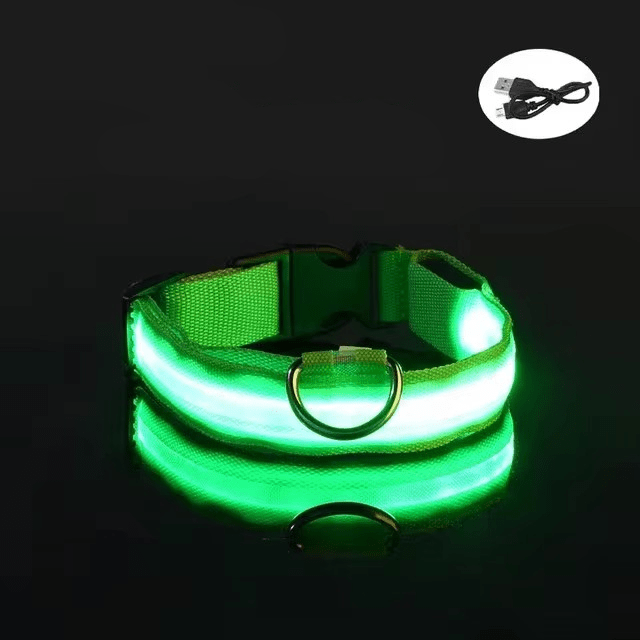 Bright LED Collars for Dogs and Cats