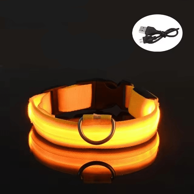 Bright LED Collars for Dogs and Cats