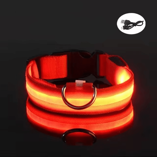 Bright LED Collars for Dogs and Cats